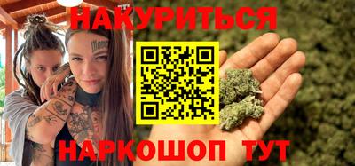 сатива Кингисепп
