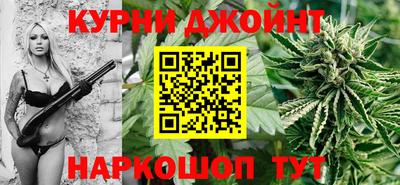 сатива Кингисепп