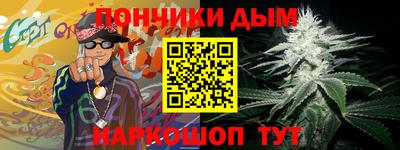 сатива Кингисепп