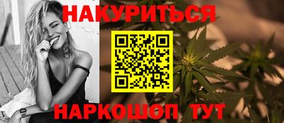 сатива Кингисепп