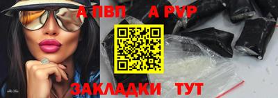 сатива Кингисепп