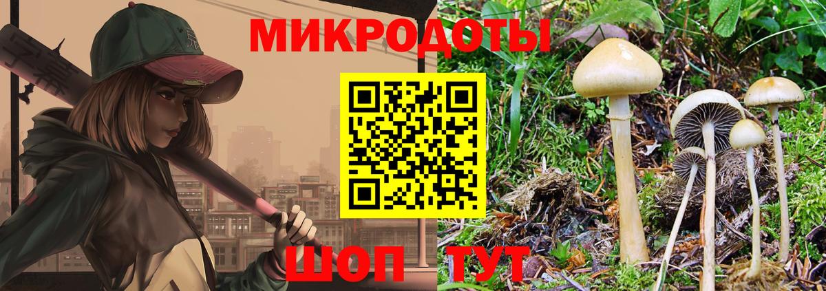 Галлюциногенные грибы MAGIC MUSHROOMS Красногорск