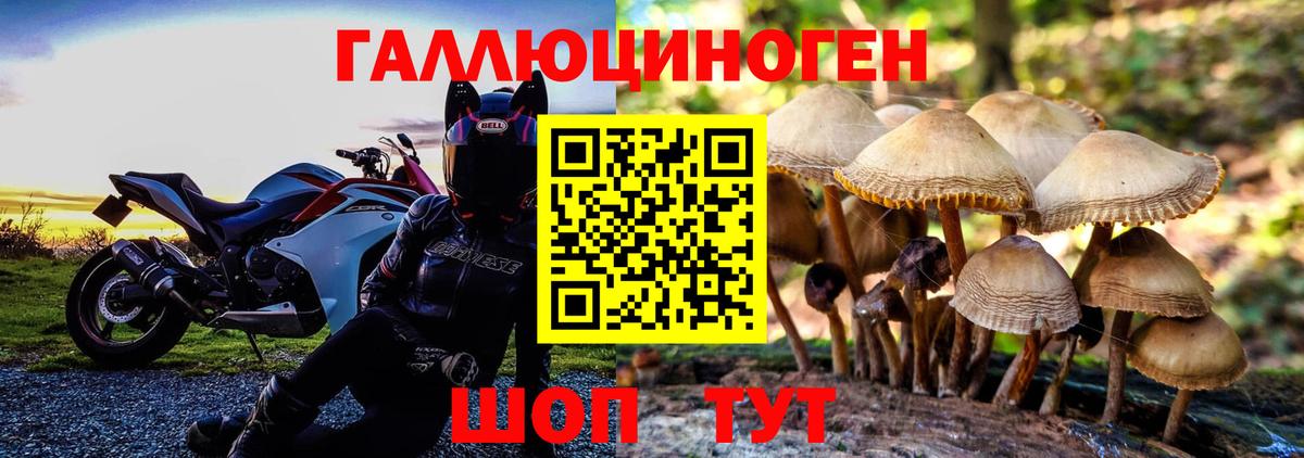 Псилоцибиновые грибы Psilocybe  Псилоцибиновые грибы GOLDEN TEACHER  Красногорск  Вход с VPN 